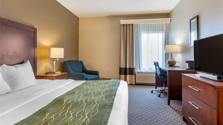 <b>Comfort Inn Charlotte Room</b>. Images powered by <a href="https://iceportal.shijigroup.com/" title="IcePortal" target="_blank">IcePortal</a>.