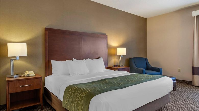 <b>Comfort Inn Charlotte Room</b>. Images powered by <a href="https://iceportal.shijigroup.com/" title="IcePortal" target="_blank">IcePortal</a>.