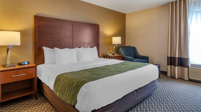 <b>Comfort Inn Charlotte Room</b>. Images powered by <a href="https://iceportal.shijigroup.com/" title="IcePortal" target="_blank">IcePortal</a>.