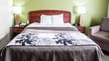 Sleep Inn & Suites Room
