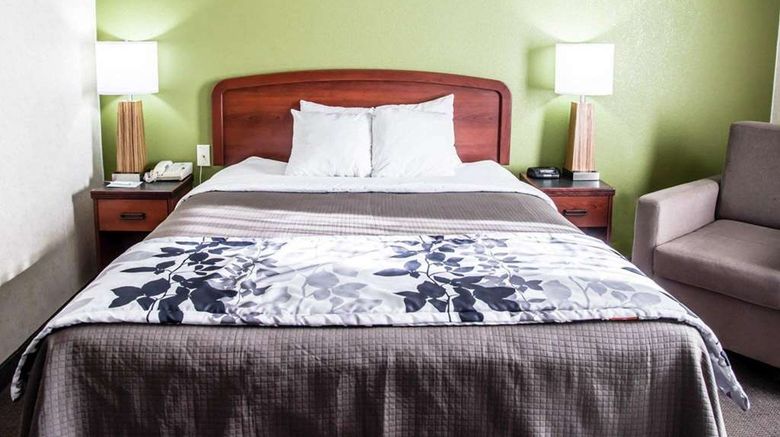 <b>Sleep Inn And Suites Allendale Room</b>. Images powered by <a href="https://iceportal.shijigroup.com/" title="IcePortal" target="_blank">IcePortal</a>.