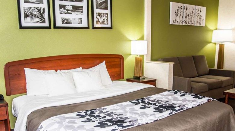 <b>Sleep Inn And Suites Allendale Suite</b>. Images powered by <a href="https://iceportal.shijigroup.com/" title="IcePortal" target="_blank">IcePortal</a>.