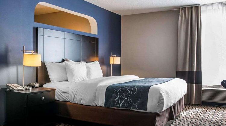 Comfort Suites of Benton Harbor Room