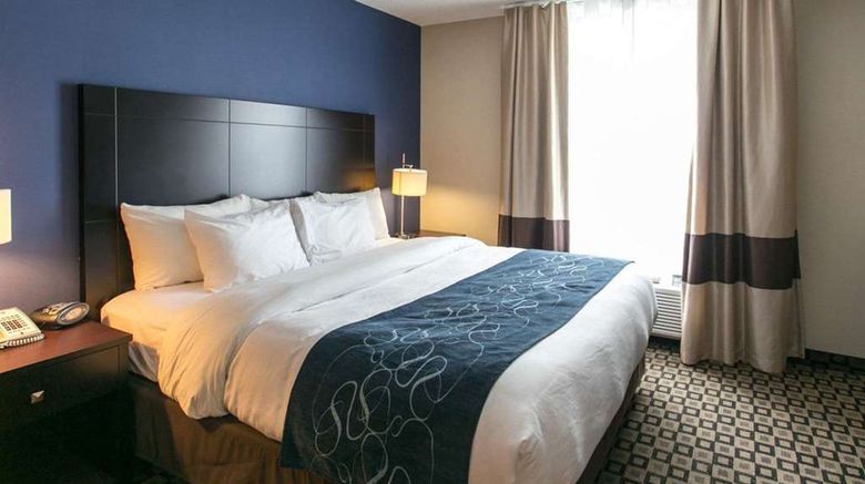 <b>Comfort Suites of Benton Harbor Suite</b>. Images powered by <a href="https://iceportal.shijigroup.com/" title="IcePortal" target="_blank">IcePortal</a>.