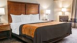 Country Inn & Suites Battle Creek Room