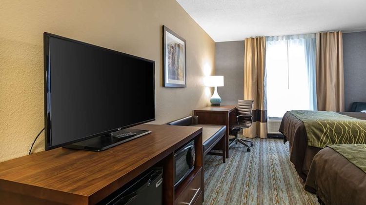 Comfort Inn Bay City-Riverfront Room