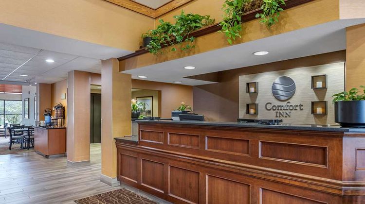 Comfort Inn Lobby