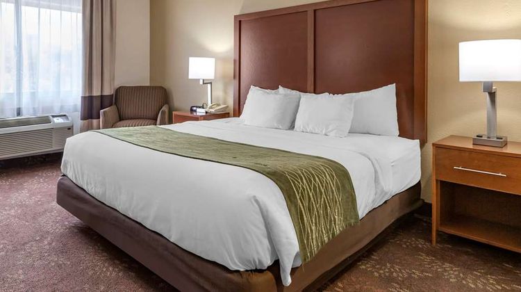 Comfort Inn Room