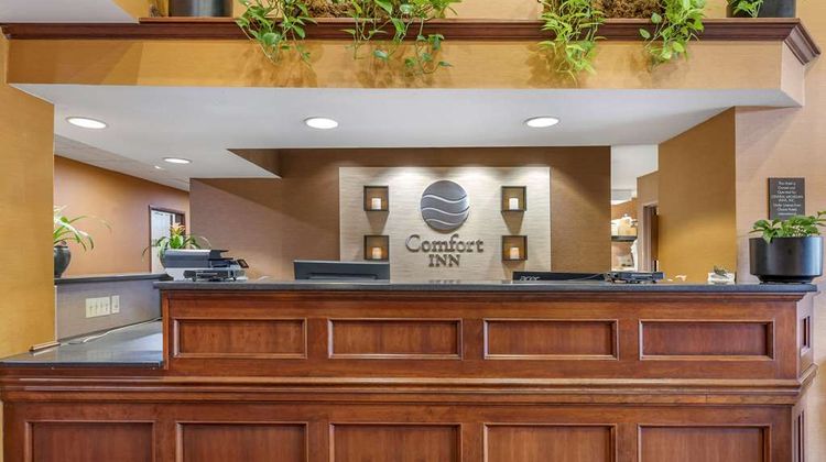 Comfort Inn Lobby