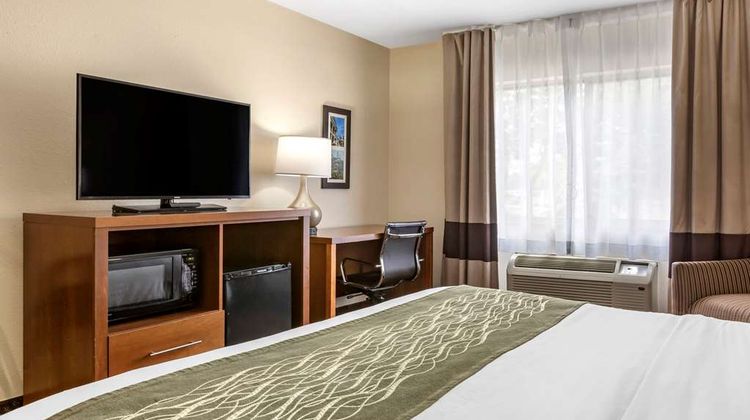 Comfort Inn Room
