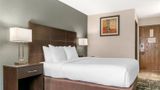 <b>Quality Inn Byron Center Room</b>. Images powered by <a href="https://iceportal.shijigroup.com/" title="IcePortal" target="_blank">IcePortal</a>.