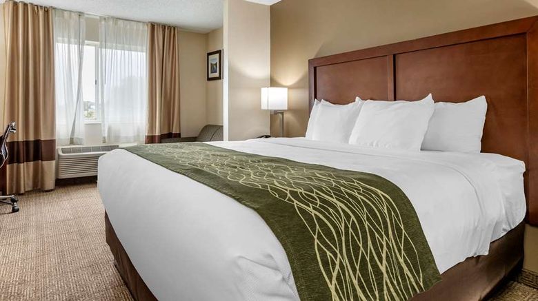 <b>Comfort Inn & Suites of Lansing Suite</b>. Images powered by <a href="https://iceportal.shijigroup.com/" title="IcePortal" target="_blank">IcePortal</a>.