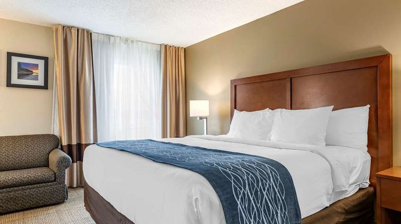 <b>Comfort Inn & Suites of Lansing Suite</b>. Images powered by <a href="https://iceportal.shijigroup.com/" title="IcePortal" target="_blank">IcePortal</a>.