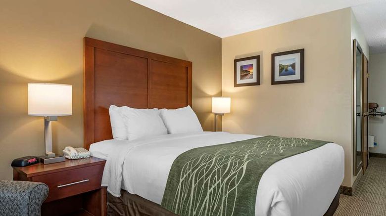 <b>Comfort Inn & Suites of Lansing Room</b>. Images powered by <a href="https://iceportal.shijigroup.com/" title="IcePortal" target="_blank">IcePortal</a>.