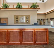 Comfort Inn & Suites of Lansing Lobby