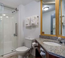 Clarion Inn & Suites Airport Grand Rapid Room