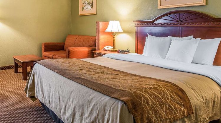 Quality Inn & Suites Ann Arbor Hwy 23 Room