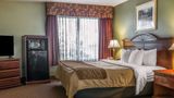 Quality Inn & Suites Ann Arbor Hwy 23 Suite