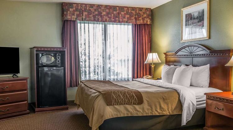 Quality Inn & Suites Ann Arbor Hwy 23 Suite