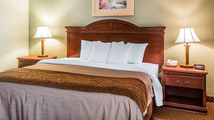 Quality Inn & Suites Ann Arbor Hwy 23 Suite