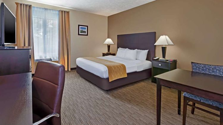 Comfort Inn Room