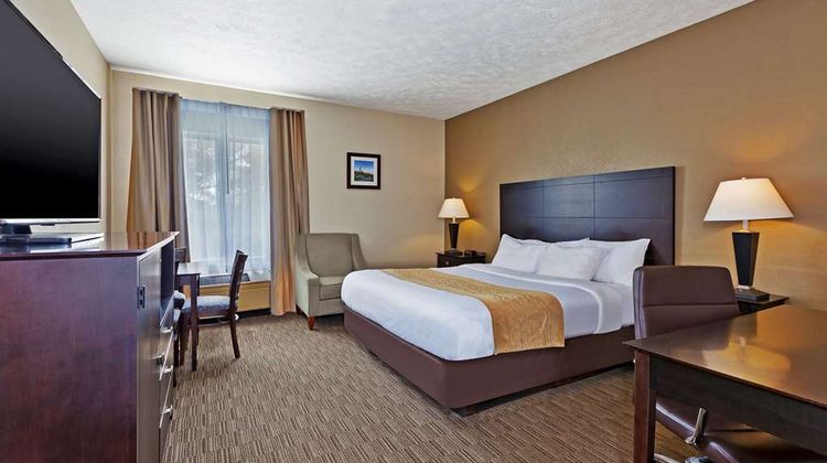 Comfort Inn Room