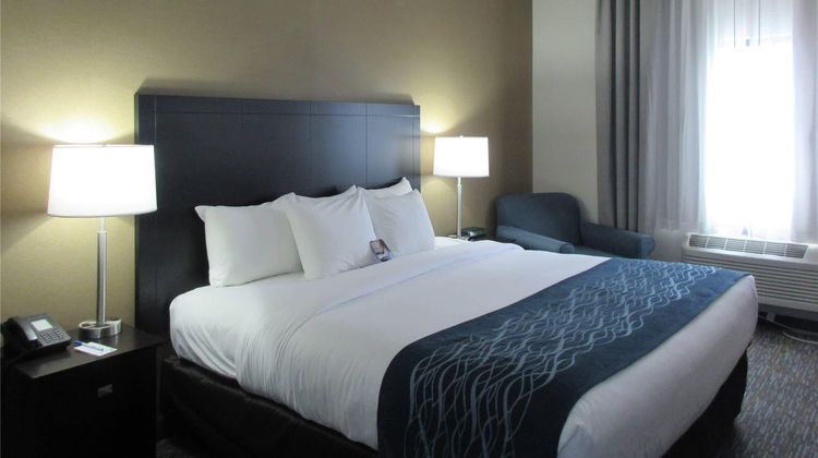 Comfort Inn Port Huron Room