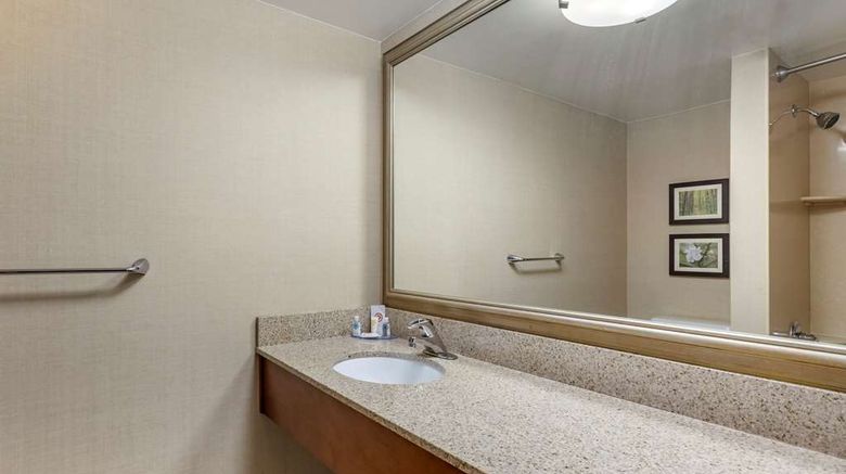 <b>Comfort Inn Lansing Room</b>. Images powered by <a href="https://iceportal.shijigroup.com/" title="IcePortal" target="_blank">IcePortal</a>.