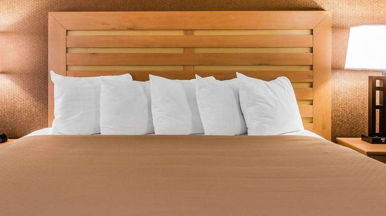 Quality Inn & Suites Warren Room
