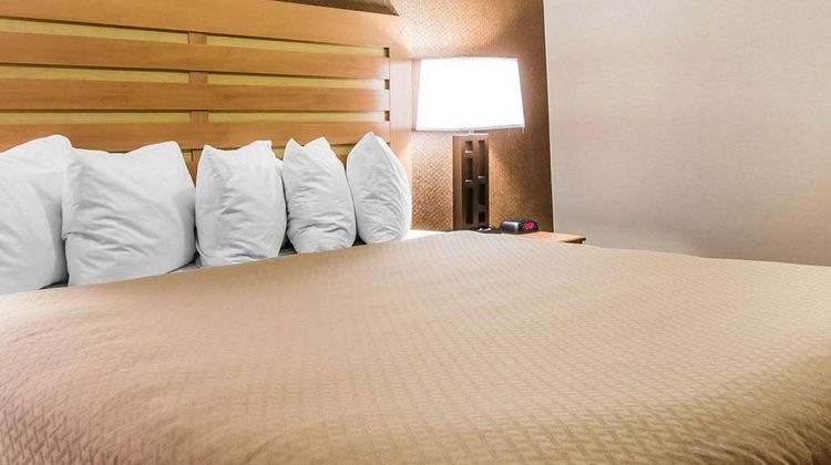 Quality Inn & Suites Warren Suite