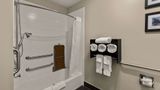 Comfort Inn Ludington Room