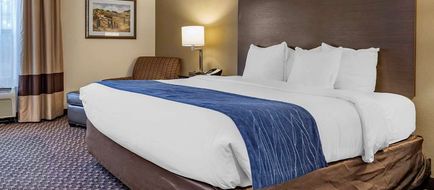 Comfort Inn Kalamazoo Room