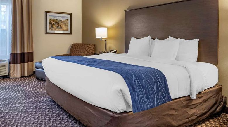 <b>Comfort Inn Kalamazoo Room</b>. Images powered by <a href="https://iceportal.shijigroup.com/" title="IcePortal" target="_blank">IcePortal</a>.