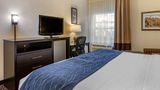 Comfort Inn Kalamazoo Room