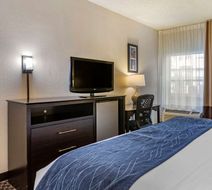 Comfort Inn Kalamazoo Room