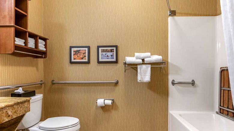 <b>Comfort Inn Kalamazoo Room</b>. Images powered by <a href="https://iceportal.shijigroup.com/" title="IcePortal" target="_blank">IcePortal</a>.