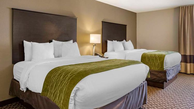 Comfort Inn Kalamazoo Room