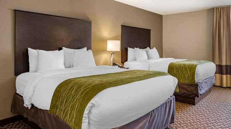 <b>Comfort Inn Kalamazoo Room</b>. Images powered by <a href="https://iceportal.shijigroup.com/" title="IcePortal" target="_blank">IcePortal</a>.