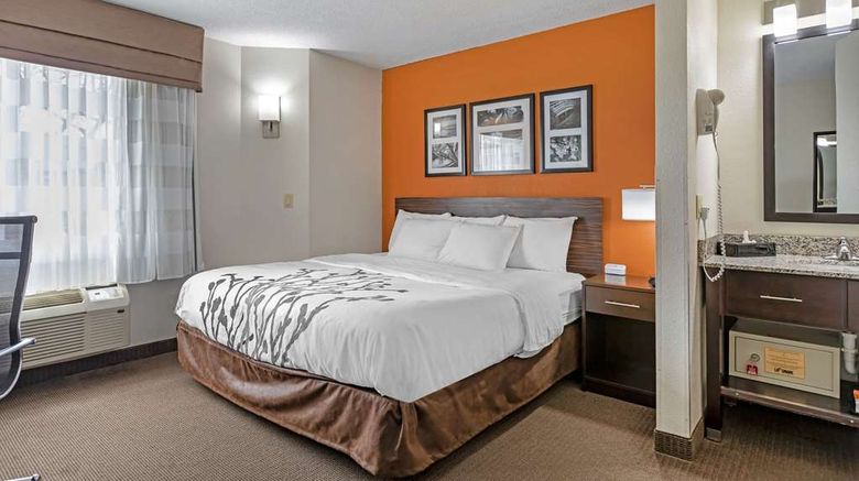 <b>Sleep Inn DeWitt Room</b>. Images powered by <a href="https://iceportal.shijigroup.com/" title="IcePortal" target="_blank">IcePortal</a>.