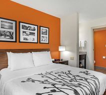 Sleep Inn DeWitt Room
