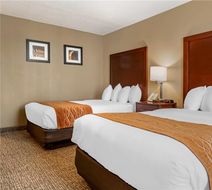 Comfort Inn Airport Room