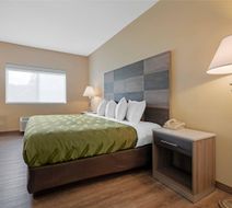 Quality Inn Bemidji Room