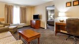 Comfort Inn Suite