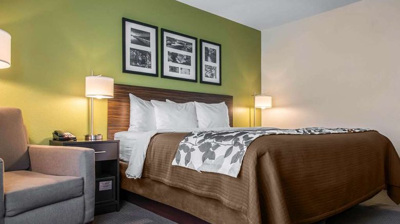 <b>Sleep Inn & Suites Room</b>. Images powered by <a href="https://iceportal.shijigroup.com/" title="IcePortal" target="_blank">IcePortal</a>.
