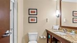 Comfort Inn & Suites West Medical Center Room