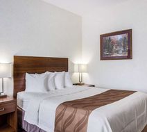 Econo Lodge Room