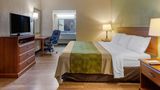 Econo Lodge Belton - Kansas City South Room