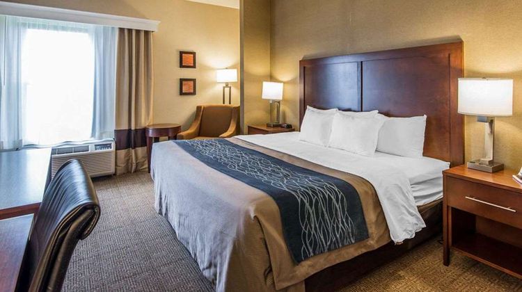 Quality Inn Room
