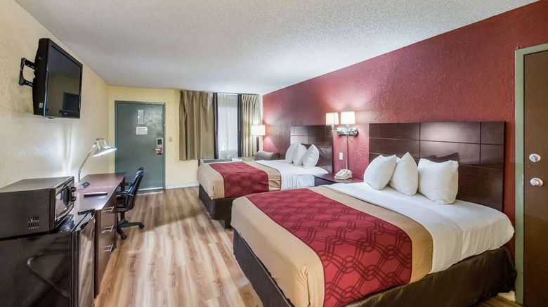 <b>Econo Lodge Room</b>. Images powered by <a href="https://iceportal.shijigroup.com/" title="IcePortal" target="_blank">IcePortal</a>.
