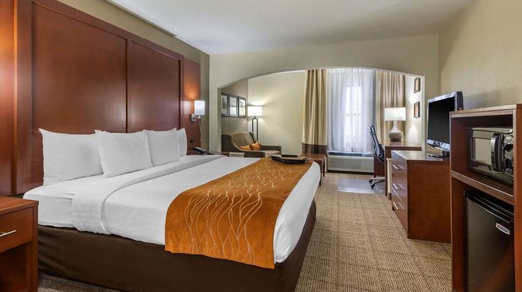 Comfort Inn & Suites Springfield I-44 Suite